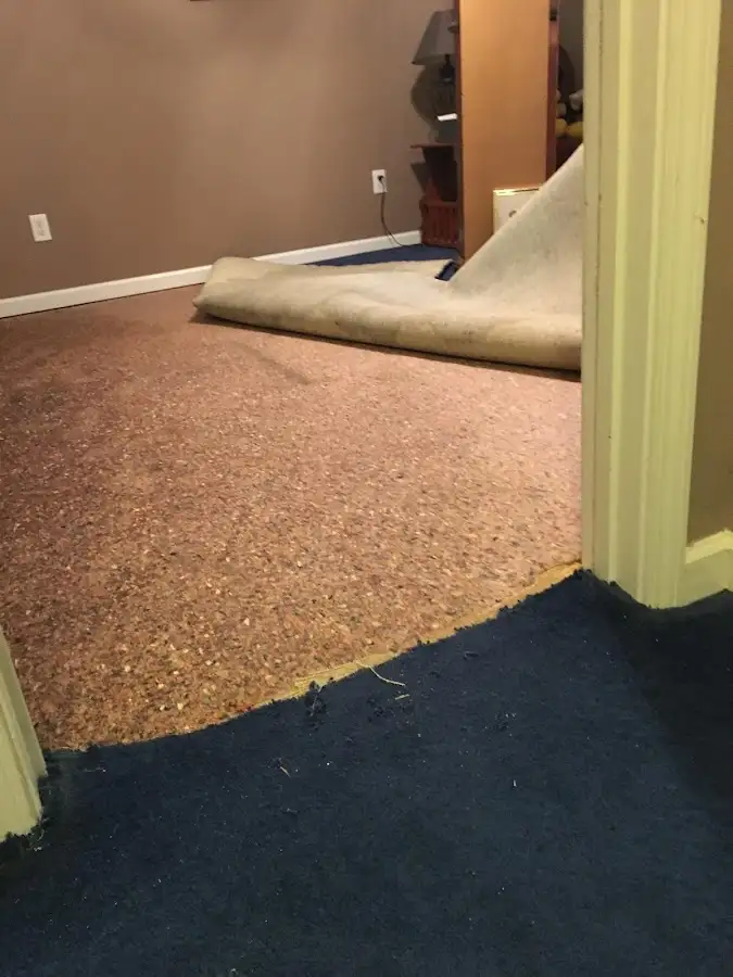 Carpet pad removal revealing water damage during Drying & Dehumidification in Gages Lake