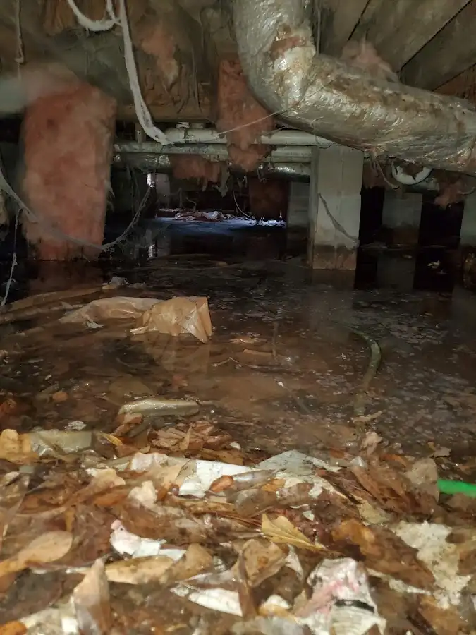 Crawl space flood assessment for Leak Detection & Repair in Gages Lake