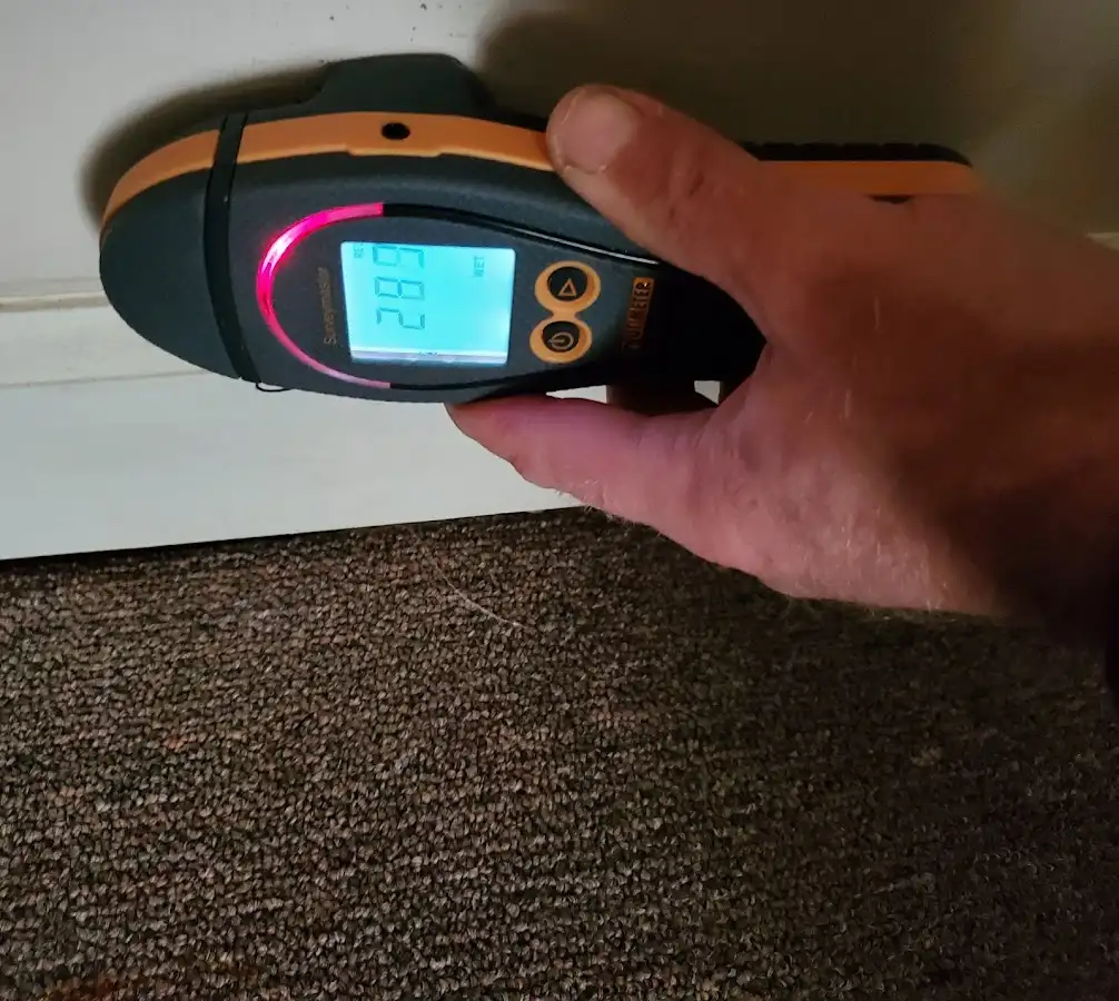 Moisture detection at baseboard during Sewage Cleanup & Sanitation in Gages Lake